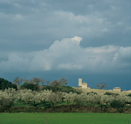 Ein Winter auf Mallorca