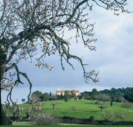 Ein Winter auf Mallorca
