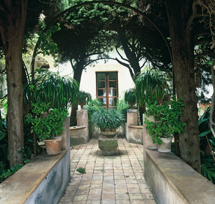 Ein Winter auf Mallorca