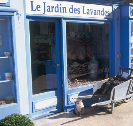 Provence – auf den Wegen des Lichts