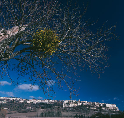 Provence – auf den Wegen des Lichts