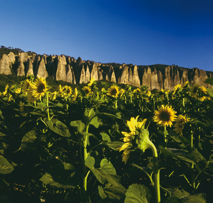 Provence – auf den Wegen des Lichts